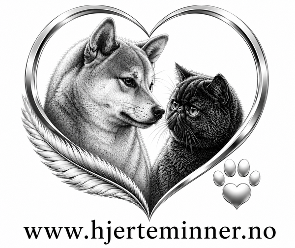 Hjerteminner